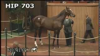 Zenyatta at the 2005 September Yearling Sale