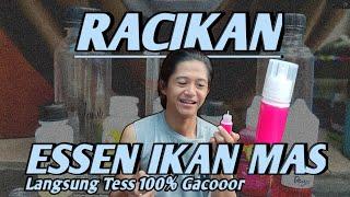 LANGSUNG GACOR !! INI DIA RACIKAN MEMBUAT OPLOSAN ESSEN DADAKAN LANGSUNG TES DI PEMANCINGAN