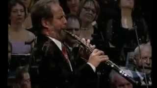 Henrik Chaim Goldschmidt plays Morricone's "Gabriel's Oboe"