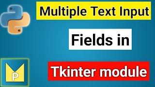 Create Multiple Input Text Fields in Your Application | Python Magix