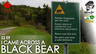 S2 E9: A black bear encounter on my way to Cape Gaspé Lands End Lighthouse Trail