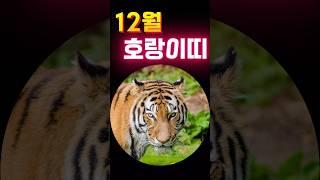 2024년 12월 호랑이띠 운세 #띠별운세 #오늘의운세 #풍수 #사주 #12월운세 #신년운세 #하반기운세 #횡재수 #소원성취 #기도 #생년월일운세 #생년월일사주 #생년월일운세