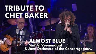 Almost Blue by Marcel Veenendaal & Jazz Orchestra of the Concertgebouw, Tribute to Chet Baker