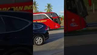 bus harapan indah,, cwek cantik#videoshots #bus