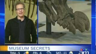 "Museum Secrets" TV show featured on Canada AM News