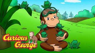 George Learns About Frogs  Curious George  Kids Cartoon  Kids Movies