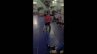 Combat Sambo