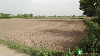 5 ACRE AGRICULTURAL LAND FOR SALE AT ASKARI BYPASS MOZA KOTLA ABU AL FATEH MULTAN