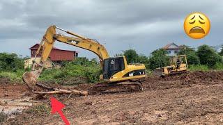 New Action Forest clearing and Land reclamation​​ use Dozer KOMATSU and Excavator CAT.