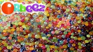 ORBEEZ Magic Growing Water Balls + Dinosaur Egg Raised Observe and Play I Kids Toys Collector KTC