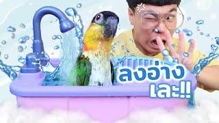 เปลี่ยนเครื่องล้างจาน?? ให้เป็นเครื่องอาบน้ำนก | ไอเทมอิหยังวะ EP.1