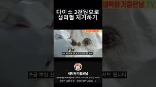 다이소 2천원템으로 이불에 묻은 생리혈, 피얼룩 제거하기 꿀팁 #세탁 #얼룩제거 #다이소 #다이소살림템