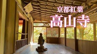 京都の紅葉 世界文化遺産の高山寺を散策 Walking around Kosanji Temple 【4K】