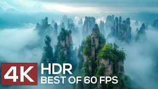 Exploring Hidden Wonders in 4K HDR Dolby Vision™ - Mind-Blowing