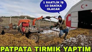 MUCİTLİK YAPALIM DEDİK~PATPATA TIRMIK YAPTIM~OLDU MU ? FARELERE DOĞUM GÜNÜ PASTASI