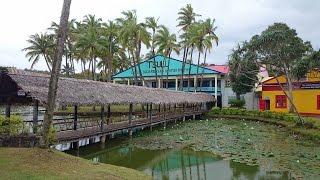 Pacific Harbour Arts Village Viti Levu / Fiji HD