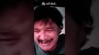 Real life pov: your cat died…