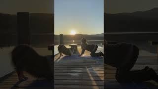 The woman and dog doing exercise together #shorts #doglover #dog #photography #edsheeran