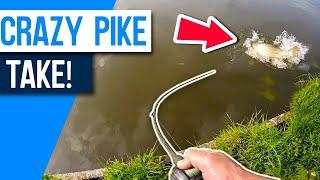 THIS PIKE HIT WAS CRAZY! Canal Pike Fishing