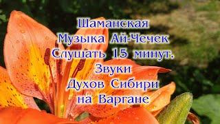 Shamanic Music Aychek Listen 15 minutes Sounds of Spirits of Siberia on Vargan