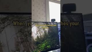 Forest Gaming Setup