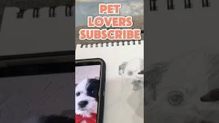 Who Loves Pets & Art? Comment & Remix This Sound To Show Support & Tag Us️#shorts#pets#art#support