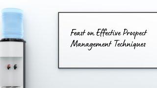 Feast on Effective Prospect Management Techniques