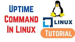 Uptime command in Linux with Examples - How to Check Uptime in Linux Command Line