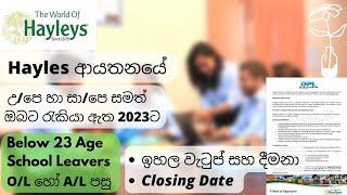 Hayleys job Vacancies Sri Lanka 2022 | private Job Vacancies