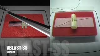 VBLaST Suturing Simulator Demo