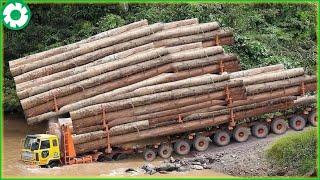 Biggest Logging Truck & Wood Lathe Working | Fastest Big Chainsaw Cutting Tree Machines