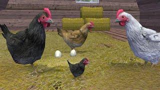 Chicken VS All Boss - Ultimate Farm Simulator (By Gluten Free Games)