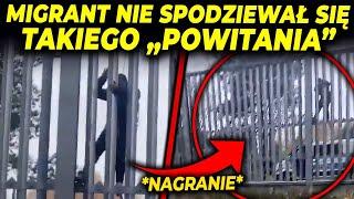 ŻOŁNIERZE "PRZYWITALI" MIGRANTA NA GRANICY!