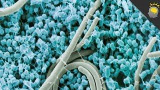 Did Alien Bacteria Seed Life on Earth? - Stuff to Blow Your Kids' Mind #4