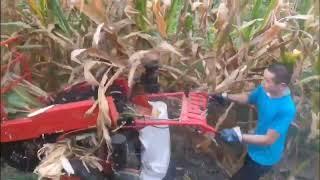 Mini corn harvester