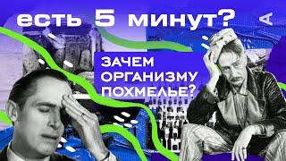 Зачем нашему организму похмелье? | ЕСТЬ 5 МИНУТ?