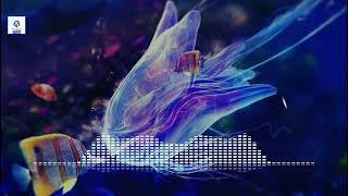 nhacsan9x : Fire - Rosette ( remix ) - ( DJ Birox )