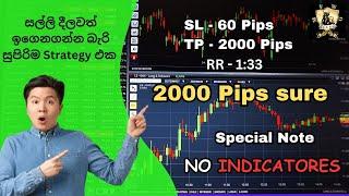 Indicators නැතුව pips 2000 ක් achieve කරන්න පුලුවන් සුපිරිම strategy එක/ catch 2000 pips easy.