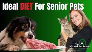 Ideal Diet For Senior Dogs & Cats