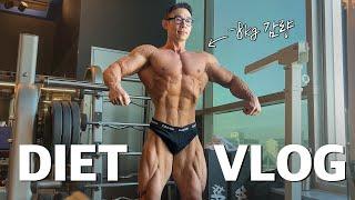 -8KG 감량 다이어트 식단 &치팅 브이로그 VLOG