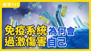 新冠病毒 如何擾亂 免疫系統 攻擊 人體 自身組織 ？ | 健康1+1