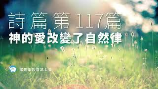 詩篇117篇｜ 分享見證「  神的愛改變了自然律」