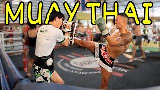 I AM BROKEN! BRUTAL 14-Day Muay Thai Training Camp