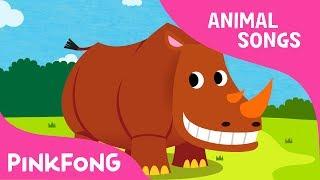 Ballerino Rhinoceros | Rhinoceros | Animal Songs | Pinkfong Songs for Children