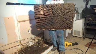 Massive bee hive removal from beneath her kitchen cabinets.