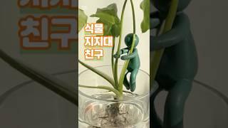 귀여운 식물 지지대 친구 #꿀템 #꿀템추천 #인테리어 (쿠팡파트너스 포함)