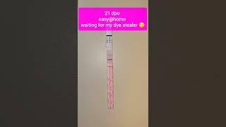 21dpo easy@home live pregnancy test #baby #pregnancy #pregnancytest #pregnant #livepregnancytest