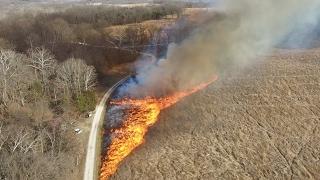 Prescribed Burn at Shaw Nature Reserve