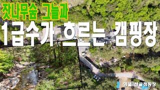 [만성TV] 캠핑을 사랑한 수리공 - [2분소개]잣나무 그늘로 여름에도 시원한 캠핑장 - 아이들과 함께하기 너무 좋은 캠핑장 아직도 안가봤어요??