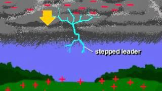 Theory of Lightning, Rate My Science